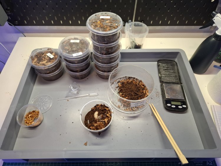 Keverkweek onderhoudsbak.jpeg