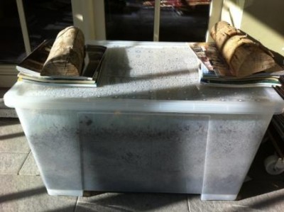 XXL BOX SIDE VIEW.jpg
