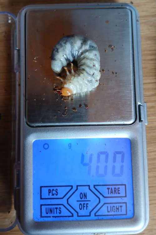 20260927_122816.jpg