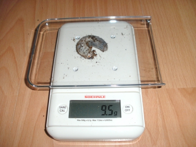 BILD2.JPG