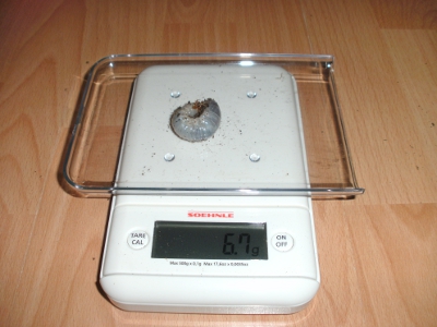 BILD5.JPG