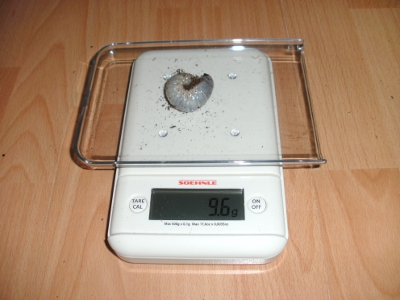 BILD6.JPG