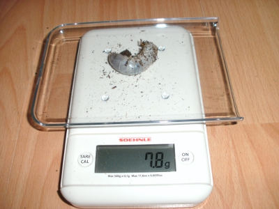 BILD7.JPG