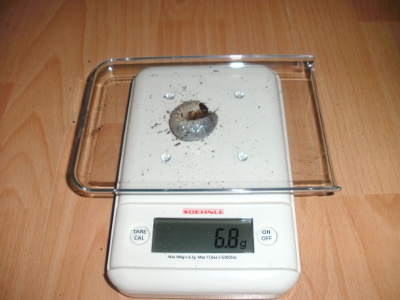 BILD8.JPG