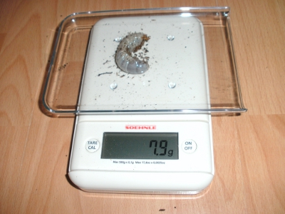 BILD9.JPG