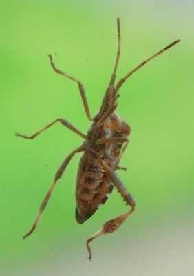 DSCF4072.JPG