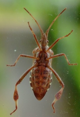DSCF4078.JPG