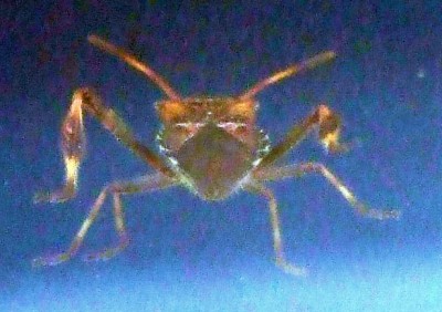 DSCF4086.JPG