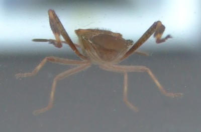 DSCF4085.JPG