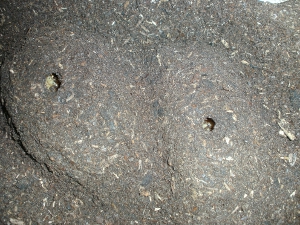 BILD0014.JPG