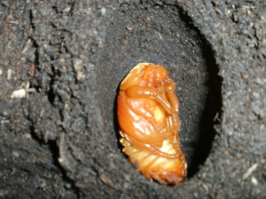 BILD0008.JPG